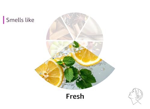 Yankee Candle Mid Summer's Night Scented Candle, 22oz Large Jar with up to 150 Hour Burn, Giftable